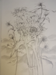 Sunflowers - Pencil Study - A3 Size