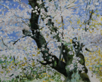 Cherry Blossom Japan. Acrylic. 25x 32 cms