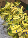 Bananas, iPad painting