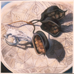 Seed Pods and Skull, pastel, 50 x 50 cm