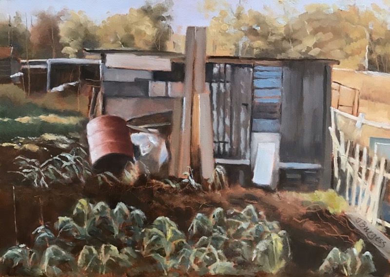 Allotment in winter lfa news