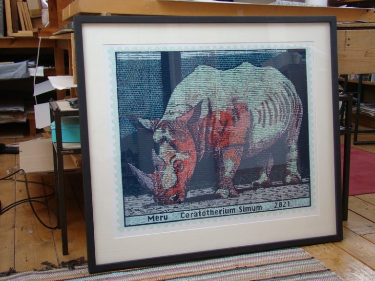Rhino Project for Knowsley Safari Park