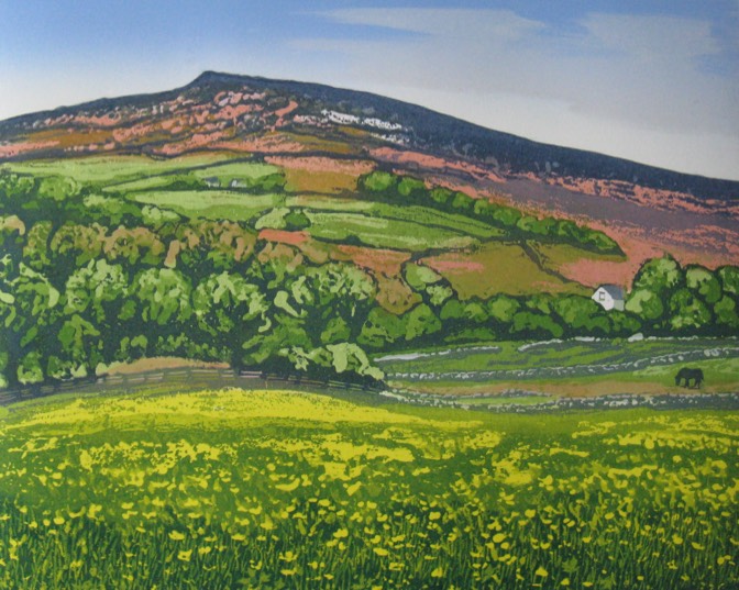 West Nab View With Buttercups, Linoprint, 35x45cm