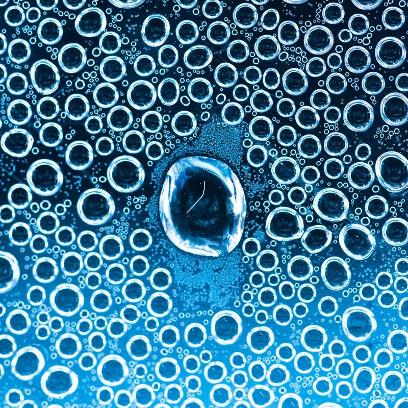 Who is in your bubble-LFA News