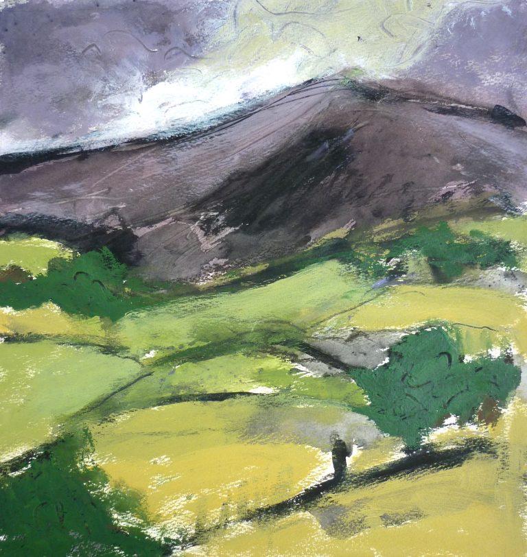The Colours Of Summer Saul Salter